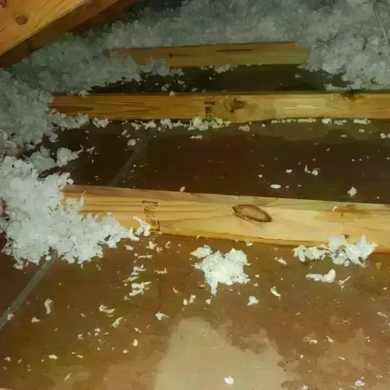 Attic Water Damage in Laredo, TX